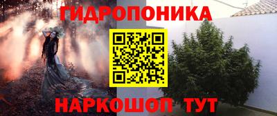 стаф Пыть-Ях