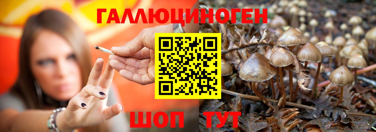 Псилоцибиновые грибы прущие грибы Пыть-Ях