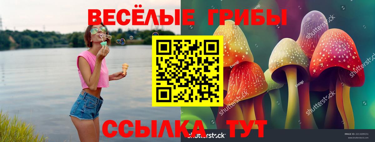 Псилоцибиновые грибы прущие грибы  Галлюциногенные грибы Psilocybe  купить закладку  Вход с VPN  Пыть-Ях 